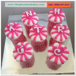 Bánh Sinh Nhật Cupcake - CUP47
